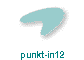 punkt-in12