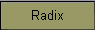 Radix