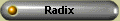 Radix