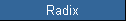 Radix