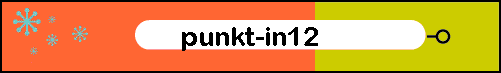 punkt-in12