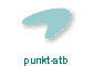 punkt-stb