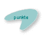 punkte