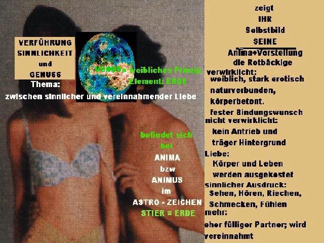 die Sinnlichkeit der Stiervenus