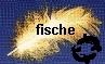 zum Hausbereich 12 = fuer Zeichen  Fische